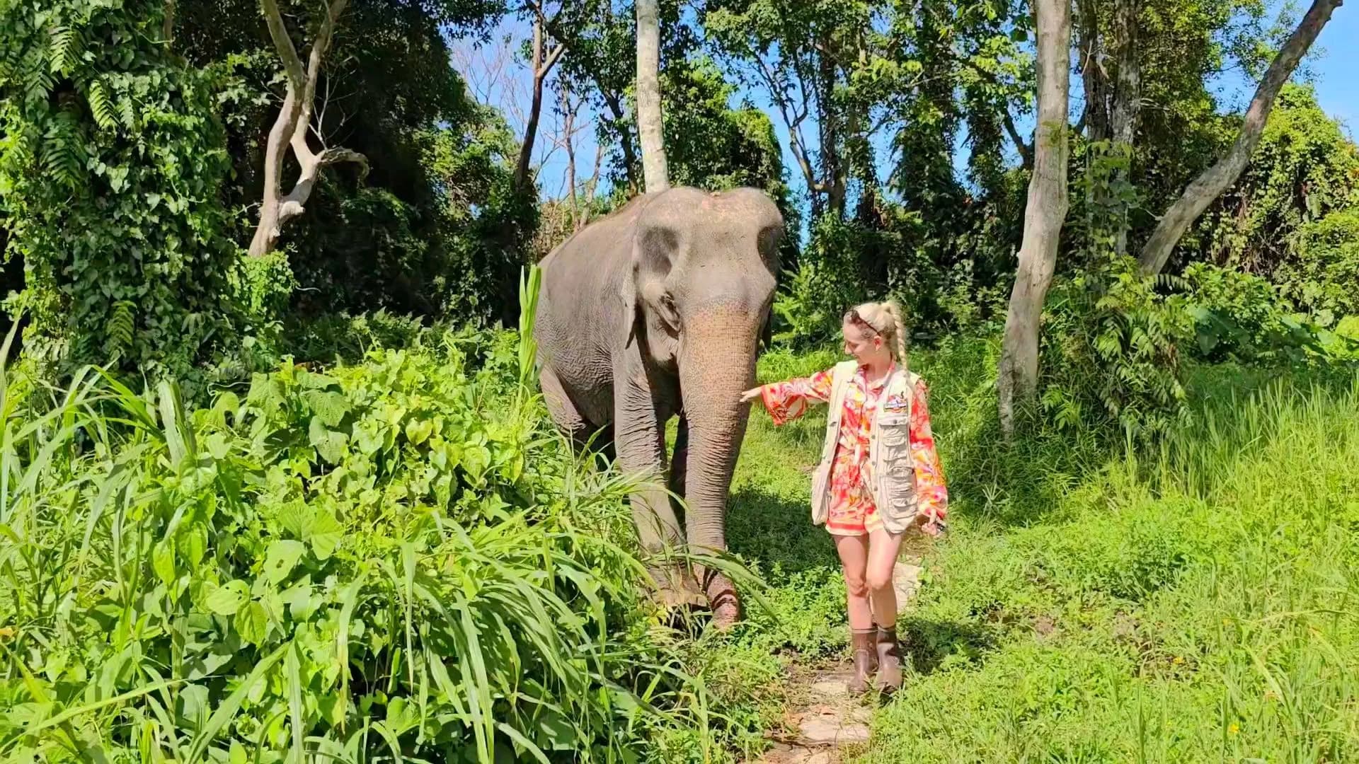 Jungle walk with elephants at Elephant World Samui