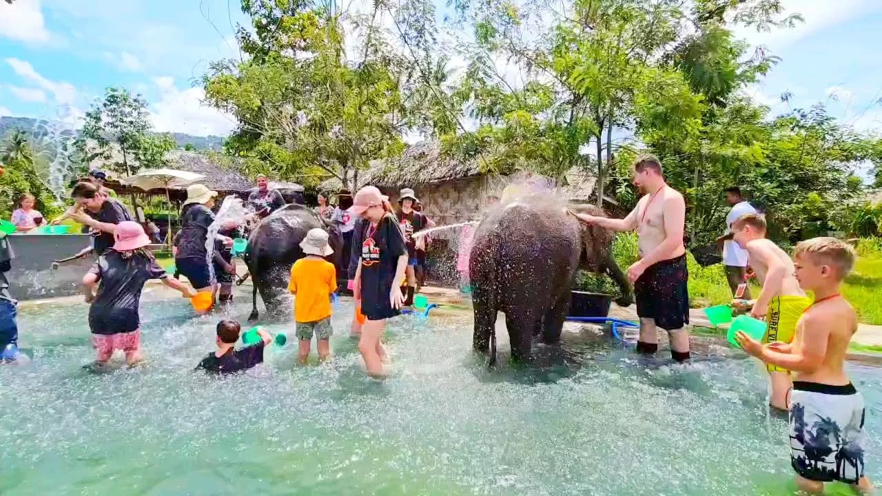 Shower and scrub elephants in the pool